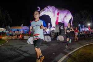 BIB: 
                            <button type="button" onclick="openModal(26552005)" class="btn btn-primary btn-sm float-right btn-popup" data-toggle="modal" data-target=".modal-high-quality">
                        <i class="fas fa-shopping-cart"></i> Add to Cart
                    </button>
                                            <button type="button" onclick="isThisMe(26552005, true)" class="btn btn-success btn-sm float-right btn-popup btn-isme hidden" data-toggle="tooltip" data-placement="bottom" title="นี่คือรูปของคุณใช่ไหม คลิกที่นี่เพื่อเอาเข้าอัลบั้ม">
                        <i class="fas fa-plus"></i> Add to album
                    </button>
                    <button type="button" onclick="isThisMe(26552005, false)" class="btn btn-warning btn-sm float-right btn-popup btn-isnotme hidden">
                        <i class="fas fa-ban"></i> Remove from album
                    </button>